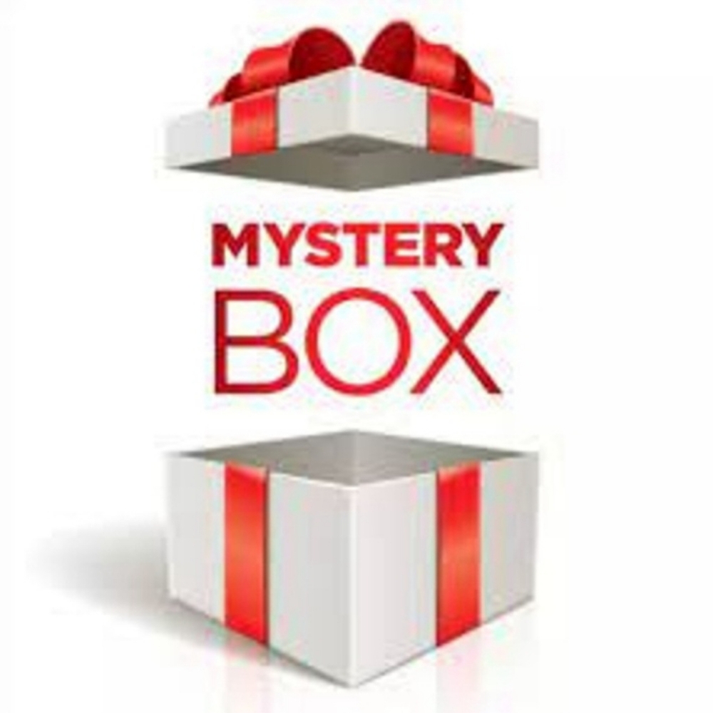 MYSTERY BOX??? Women's Size XL